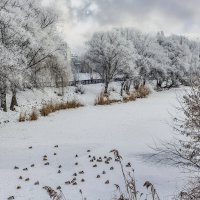 Зимняя картинка ... :: Ravile 