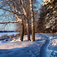 Зима на Волге. :: Людмила Гулина
