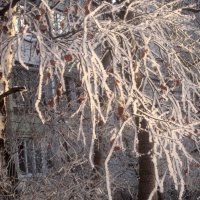 Морозным днем :: Елена Семигина