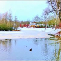 У ОЗЕРА... :: Elvira E.