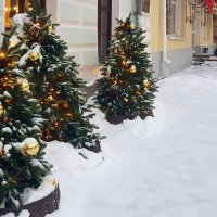 Прогулка по городу :: Galina Solovova