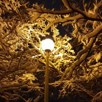 лишь один фонарь во тьме может изменить взгляд на мир :: Ольга Косачова