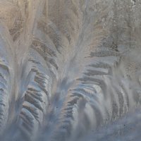 Зимняя фантазия :: олег свирский 