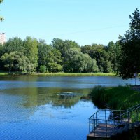 Люблинский пруд :: Игорь Белоногов Люблинский пруд :: Игорь Белоногов