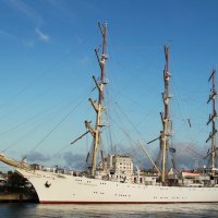 DAR MLODZIEZY :: В.И 