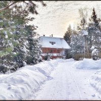 Дорога к домику... :: Руслан 