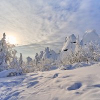 Колпаки :: Олег Каразанов