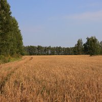 Зарайские окрестности :: Владимир59 