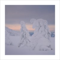 * :: Александр Иванов * :: Александр Иванов