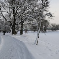 Рядом с дубами :: ZNatasha -