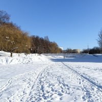 Зимний парк. :: Милешкин Владимир Алексеевич Зимний парк. :: Милешкин Владимир Алексеевич