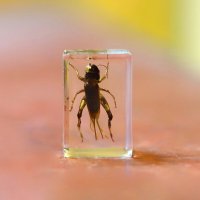 Sv :: Андрей Л. В.