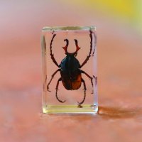 Zh :: Андрей Л. В.