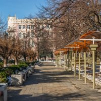 Прогулка по городу Армавир в январе :: Игорь Сикорский Прогулка по городу Армавир в январе :: Игорь Сикорский