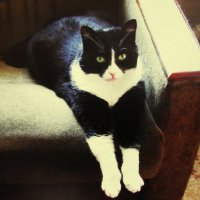 Дома лучше :: Людмила Смородинская