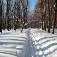 На лыжне февраля.. :: Андрей Заломленков