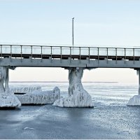 Зеленоградск, пирс. :: Валерия Комова