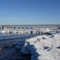 Зеленоградск, 31 января 2026 года :: Рита Симонова