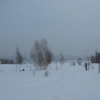 Тропа на берег :: Андрей Макурин