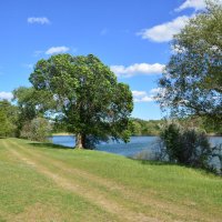 У реки. :: Виктор У реки. :: Виктор