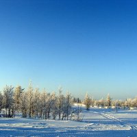 Горнокнязевск. Ямал :: Tata Wolf Горнокнязевск. Ямал :: Tata Wolf