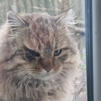 Вернулся с романтической прогулки... :: Наталья 