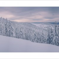 * :: Александр Иванов