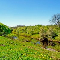 Это май, чудесный май! :: Лия ☼