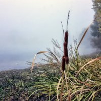 ** :: Андроник Александр 