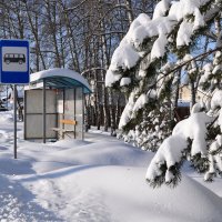 Остановка :: Татьяна Машошина