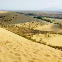 Дюна :: Марина Виноградова