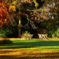 Осенние прогулки :: Юрий. Шмаков