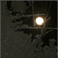 Морозное полнолуние. :: Егор Бабанов