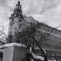 ровнее ровного :: sv.kaschuk 