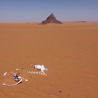 Суровый пустынный пейзаж. :: unix (Илья Утропов)