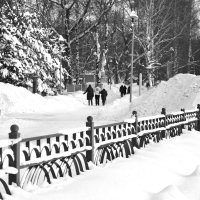 Парк :: Мария Яковлева