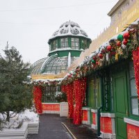 Зима в Москве :: Ольга 