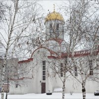 Сквозь порошу! :: Надежда 