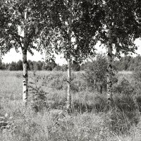 Фотография :: Денис Безногов