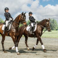 Всадницы :: SanSan 