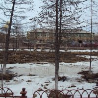 ЛАБЫТНАНГИ. ЯМАЛ :: Tata Wolf