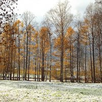 Осенний день :: Сергей Кочнев