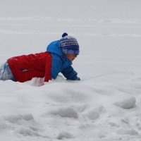 Снежные процедуры :: Любовь Сахарова