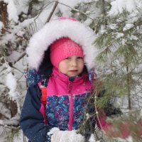 В зимнем лесу :: Любовь Сахарова