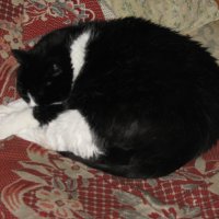 Когда на улице -25 :: Людмила Смородинская