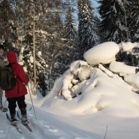 Таёжники :: Galaelina ***