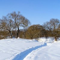 Тропа рыбаков на берег Днепра. :: Милешкин Владимир Алексеевич 