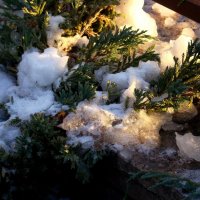 "Февраль...Достать чернил и плакать..." Б.Пастернак :: Syntaxist (Светлана)