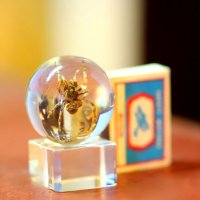 P :: Андрей Л. В.