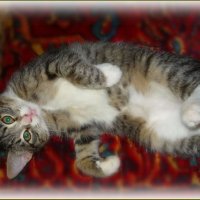 Маруся :: Валентина Надсон